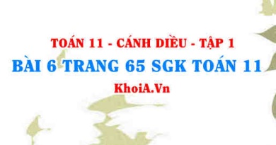 Bài 6 trang 65 SGK Toán 11 tập 1 Cánh Diều